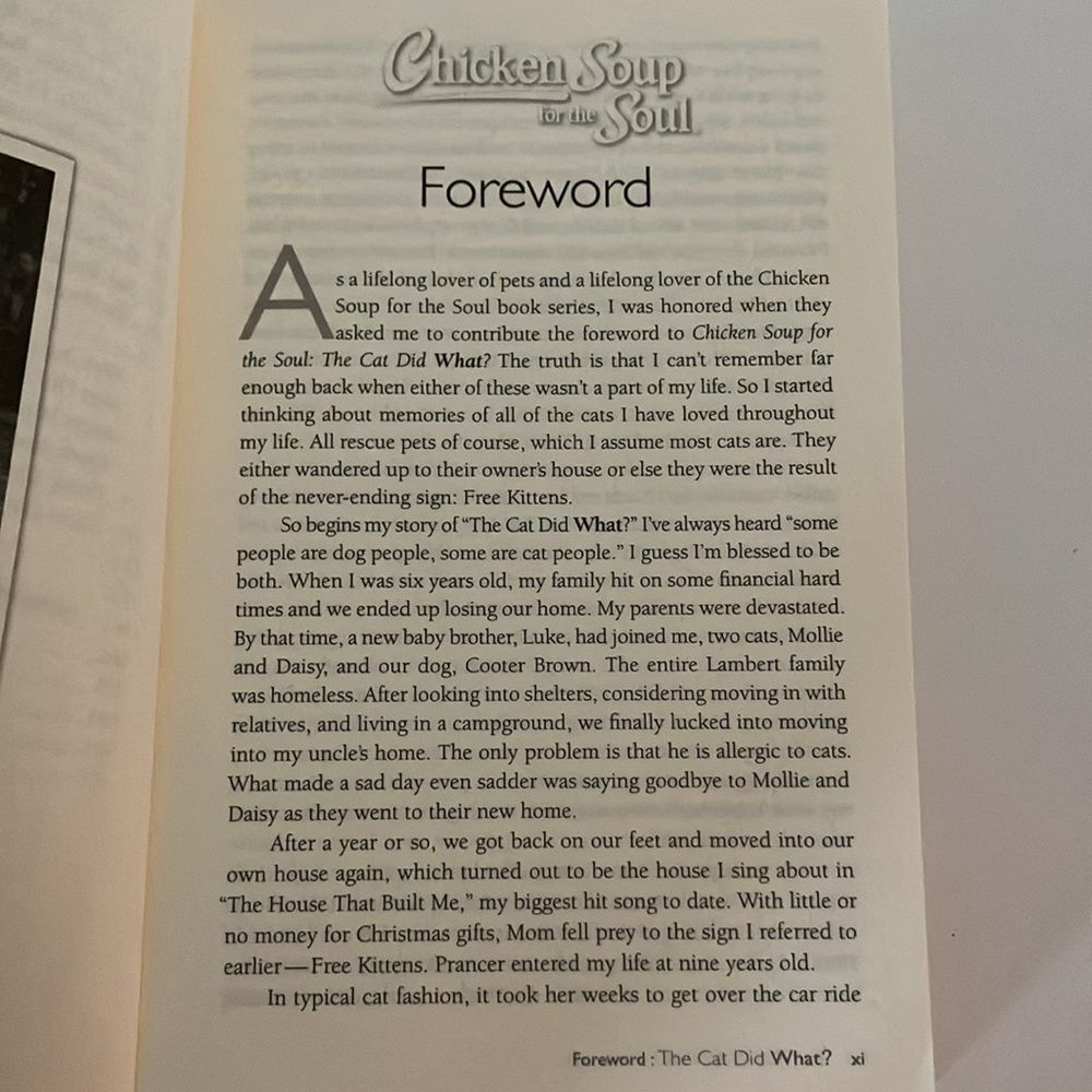 COPY - 🌻Chicken soup Cats book - Picture 3 of 5